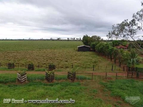 Fazenda com 6.000 hectares - Vila Bela/MT – Ref. 687