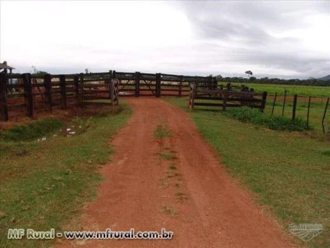 Fazenda com 6.000 hectares - Vila Bela/MT – Ref. 687