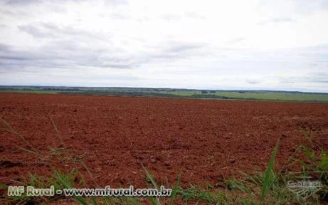 Fazenda com 409 hectares - Anhanduí/MS – Ref. 092