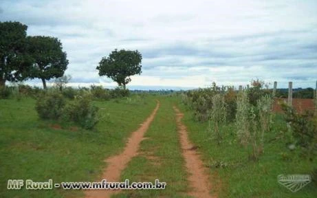 Fazenda com 409 hectares - Anhanduí/MS – Ref. 092