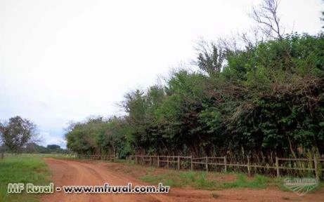 Fazenda com 409 hectares - Anhanduí/MS – Ref. 092