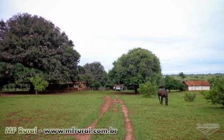 Fazenda com 409 hectares - Anhanduí/MS – Ref. 092