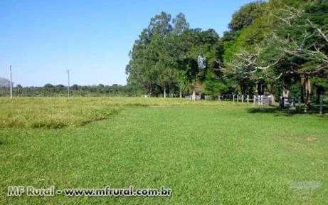 Fazenda com 1.530 hectares - Miranda/MS – Ref. 185