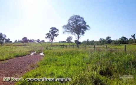 Fazenda com 1.530 hectares - Miranda/MS – Ref. 185