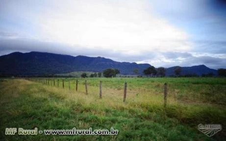 Fazenda com 10.880 hectares - Bonito/MS – Ref. 679