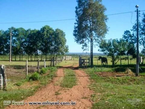 Fazenda com 150 hectares - Nova Alvorada/MS – Ref. 677
