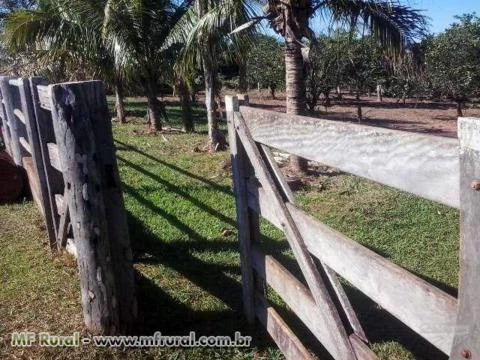 Fazenda com 275 hectares - Cassilândia/MS – Ref. 084