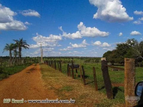 Chácara com 30 hectares - Jaraguari/MS – Ref. 672