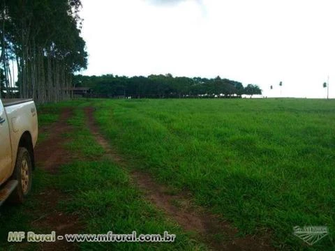 Fazenda com 3.000 hectares - Jardim/MS – Ref. 670