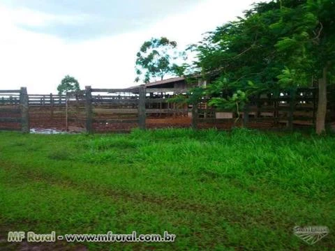 Fazenda com 3.000 hectares - Jardim/MS – Ref. 670