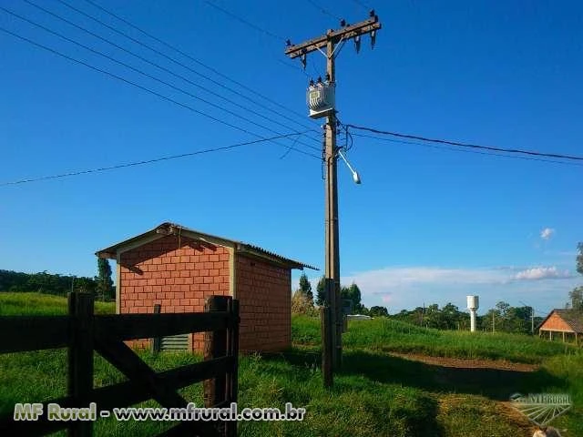 Fazenda com 315 hectares - Sidrolândia/MS– Ref. 667