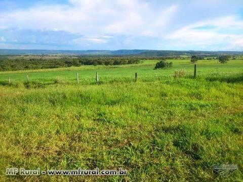 Fazenda com 315 hectares - Sidrolândia/MS– Ref. 667