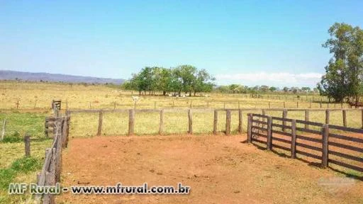 Fazenda com 729 hectares - Rio Verde/MS – Ref. 664