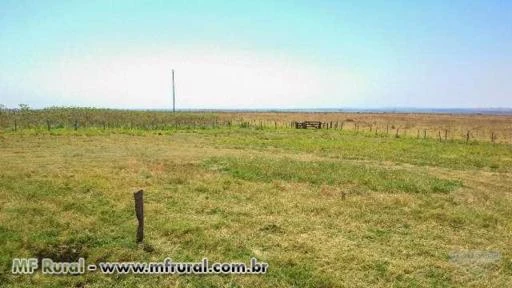 Fazenda com 729 hectares - Rio Verde/MS – Ref. 664