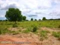Fazenda com 1.200 hectares - Rio Negro/MS – Ref. 660