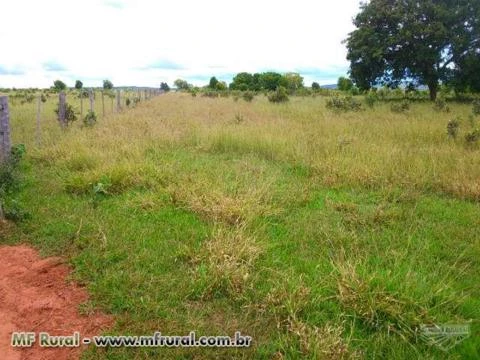 Fazenda com 1.200 hectares - Rio Negro/MS – Ref. 660