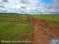 Fazenda com 531 hectares - Campo Grande/MS – Ref. 657