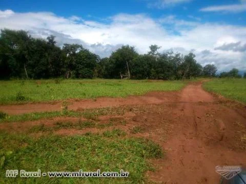 Fazenda com 531 hectares - Campo Grande/MS – Ref. 657