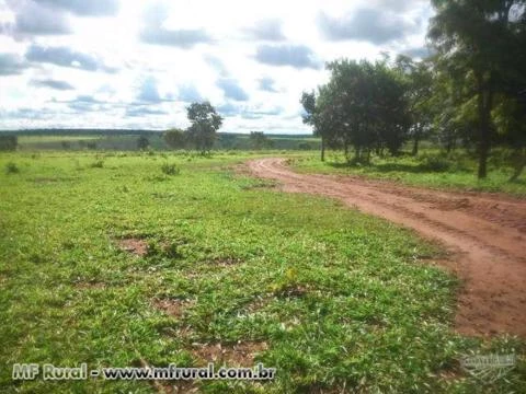 Fazenda com 531 hectares - Campo Grande/MS – Ref. 657