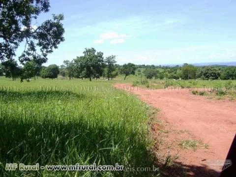 Fazenda com 1.160 hectares - Aquidauana/MS – Ref. 205
