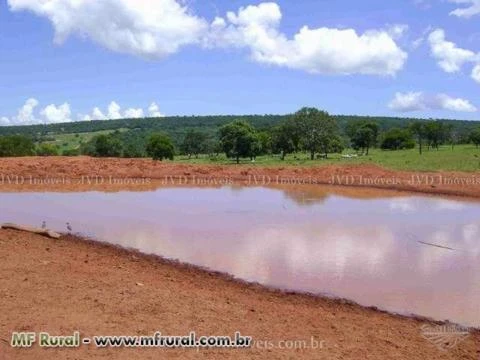 Fazenda com 1.160 hectares - Aquidauana/MS – Ref. 205