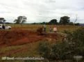 Arrendamento Fazenda Goiás