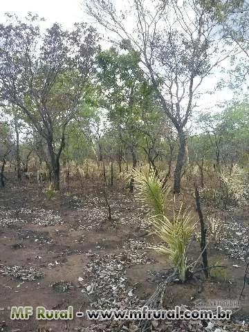 Fazenda Consolação