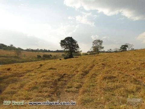 FAZENDA EM ITAUÇU/GOIAS