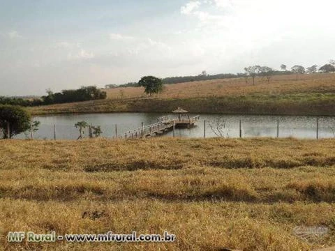 FAZENDA EM ITAUÇU/GOIAS