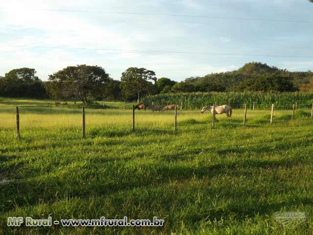 Fazenda Mirrinhos