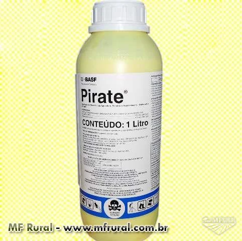 Pirate ® (inseticida)