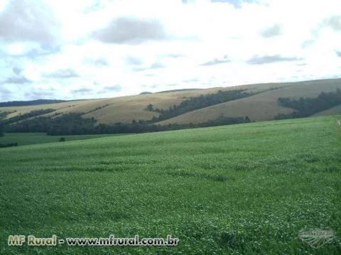 FAZENDA A VENDA ESTADO DO PARANA REGIAO DE ARAPOTI