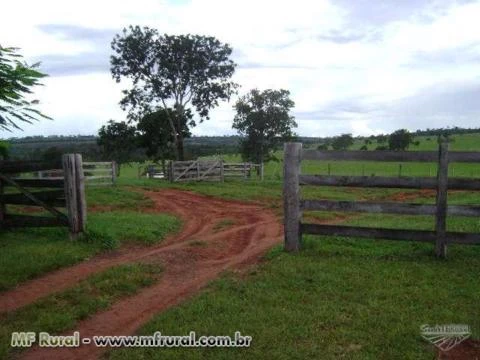 FAZENDA A VENDA ESTADO MATO GROSSO CIDADE  DE TESOURO (BARRA DO GARÇA)