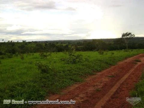 FAZENDA A VENDA ESTADO MATO GROSSO CIDADE  DE TESOURO (BARRA DO GARÇA)