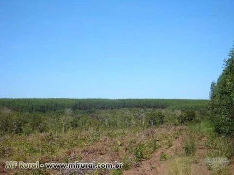 FAZENDA A VENDA TOCANTINS CIDADE NOVO ACORDO