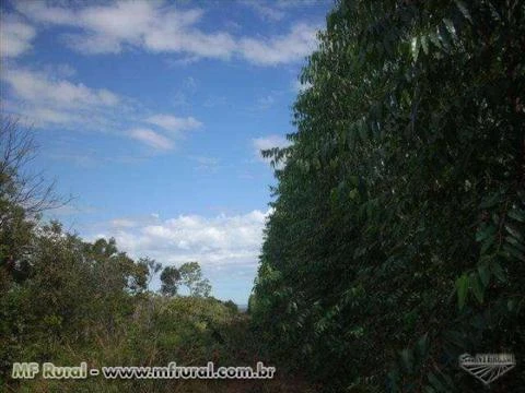 FAZENDA A VENDA TOCANTINS CIDADE NOVO ACORDO