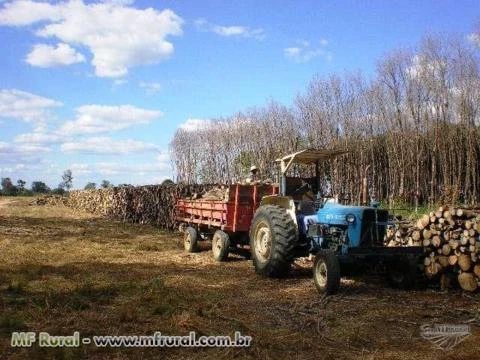 FAZENDA A VENDA  NOVA XAVANTINA ESTADO MATO GROSSO