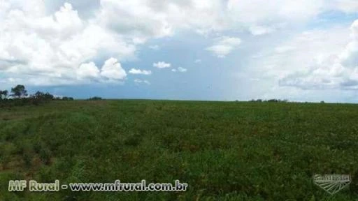 FAZENDA A VENDA EM NOVA BRASILANDIA ESTADO MATO GROSSO