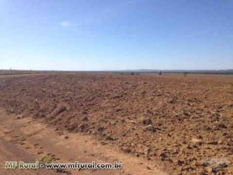 FAZENDA A VENDA EM NOVA BRASILANDIA ESTADO MATO GROSSO