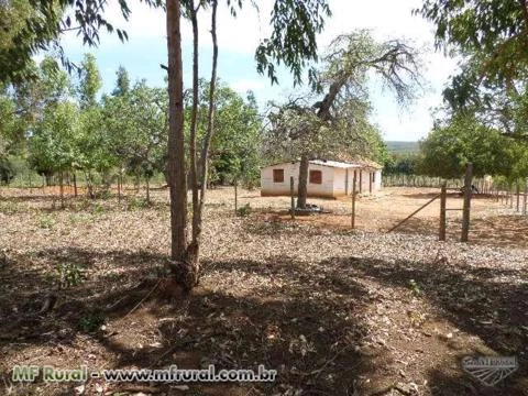 Fazenda com 148 ha