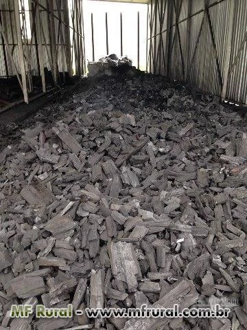 Carvão Vegetal de mandeira de LEI para Exportação. 100% legalizada, Carvão
