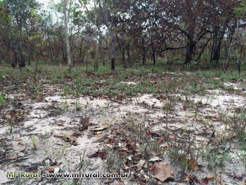 VENDO FAZENDA COM 435 HA EM LAGOA DO TOCANTINS