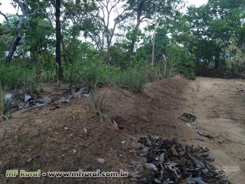 VENDO FAZENDA COM 435 HA EM LAGOA DO TOCANTINS