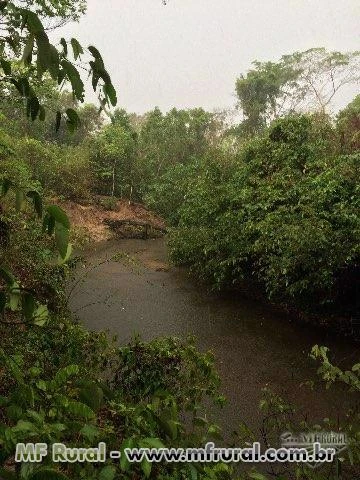 VENDO FAZENDA COM 435 HA EM LAGOA DO TOCANTINS