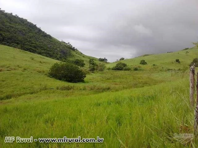 Propriedade Rural com 850 hectares fronteira Alagoas c/ Pernambuco