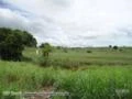 Propriedade Rural com 850 hectares fronteira Alagoas c/ Pernambuco