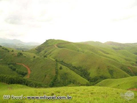 Vendo fazenda Pronta pra produzir