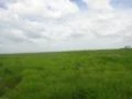 Fazenda Buriticupu-Maranhao