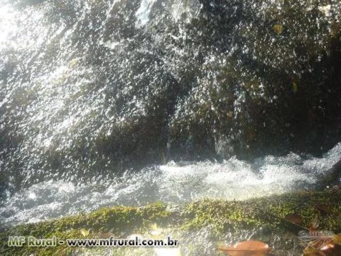 OPORTUNIDADE - TERRENO COM 8,5 ALQUEIRES EM PEDRA DO INDAIÁ