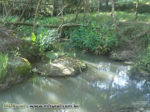 OPORTUNIDADE - TERRENO COM 8,5 ALQUEIRES EM PEDRA DO INDAIÁ